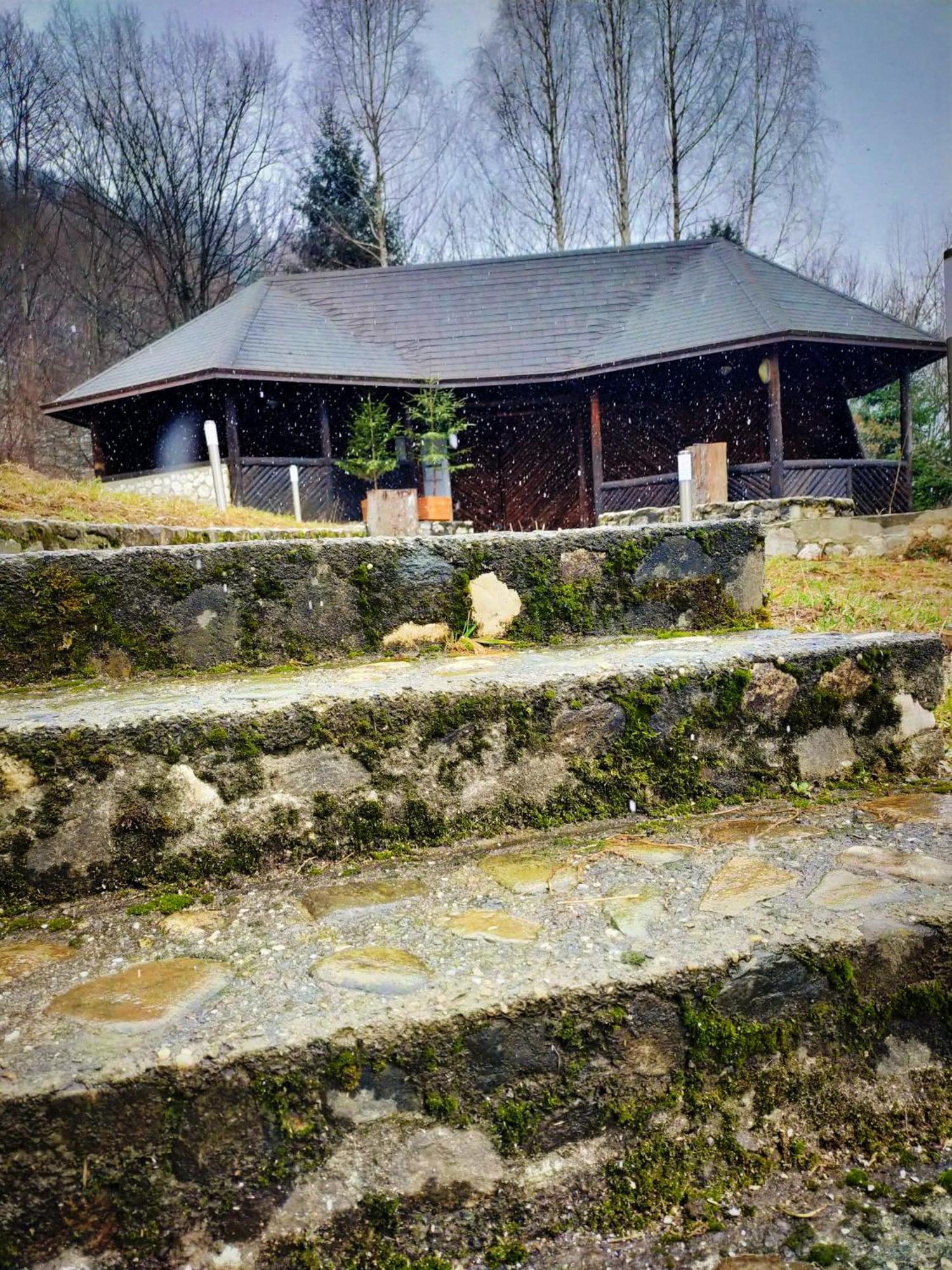 Villa & Spa 4Temporadas - Plaiul Foii Zarnesti Exterior foto